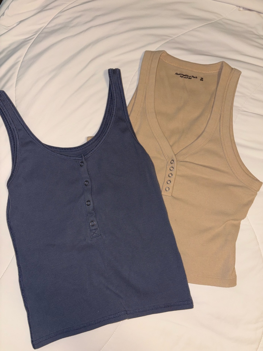 Two Abercrombie & Fitch Tanks